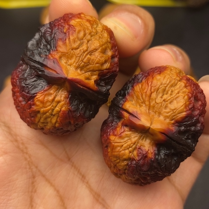 文玩核桃吊坠39尺金蟒元宝