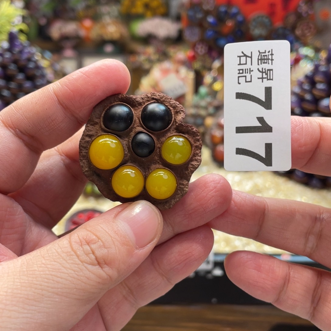 核桃木/黑胡桃（胡桃木）717