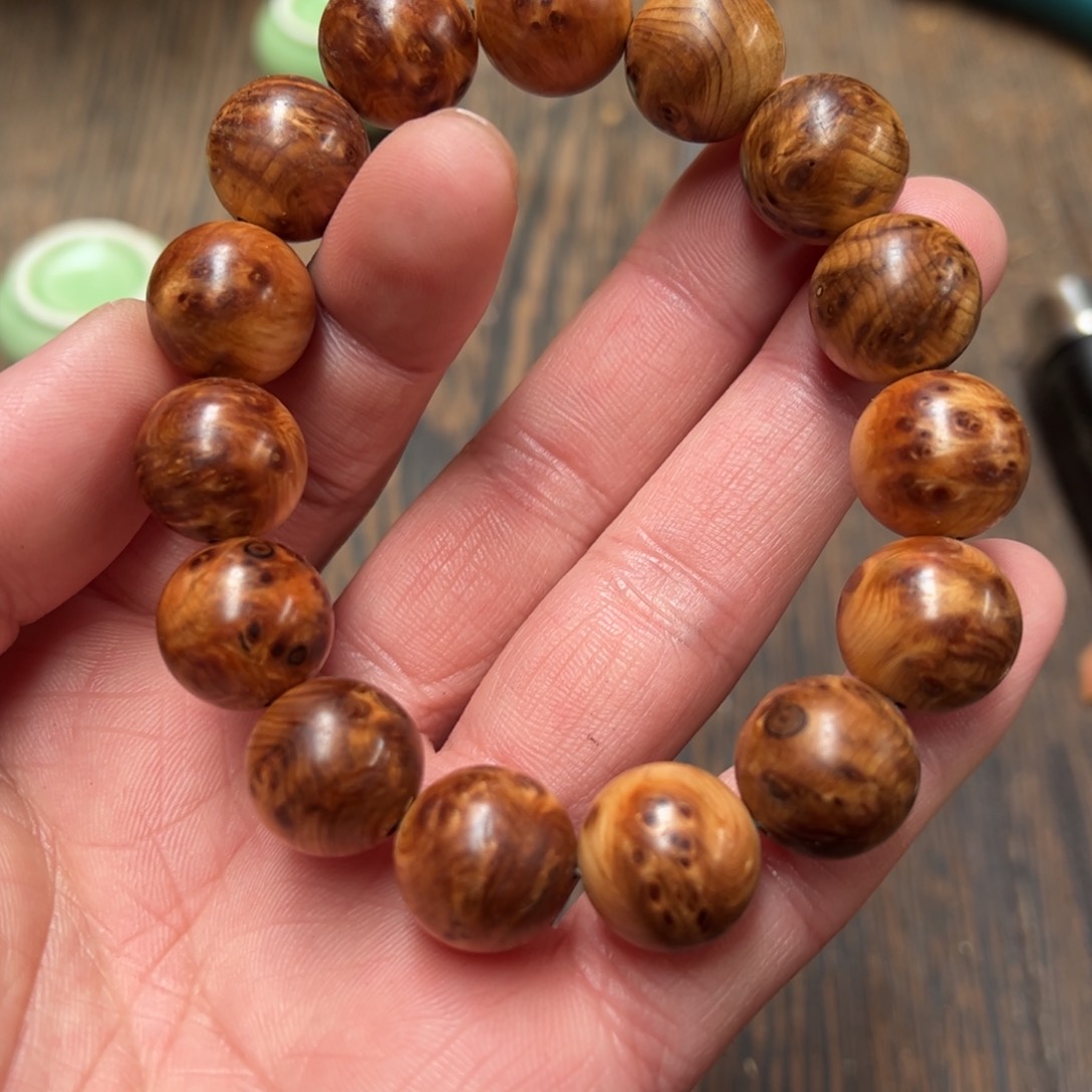 太行崖柏陈化太行