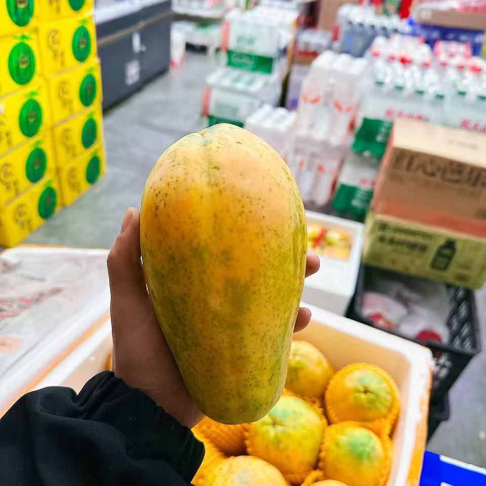 海南木瓜 1枚整果