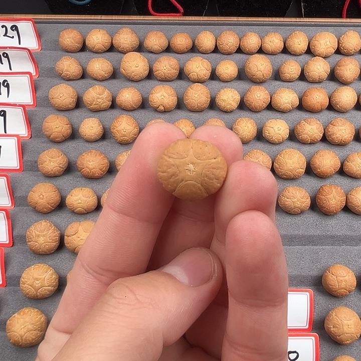 吊坠凤眼菩提18+五星