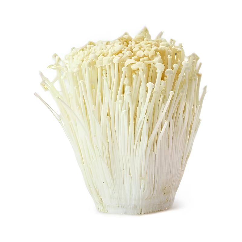 白金针菇500g±20g /份