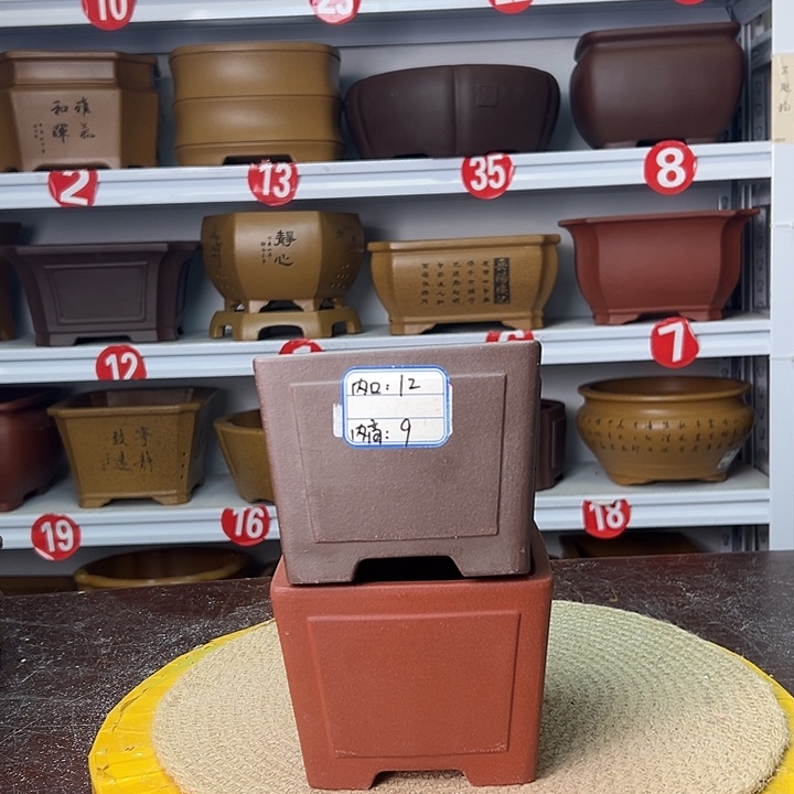 花盆紫砂你在一起