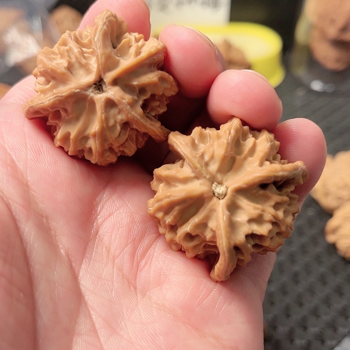 桃核把件N*O三棱核桃