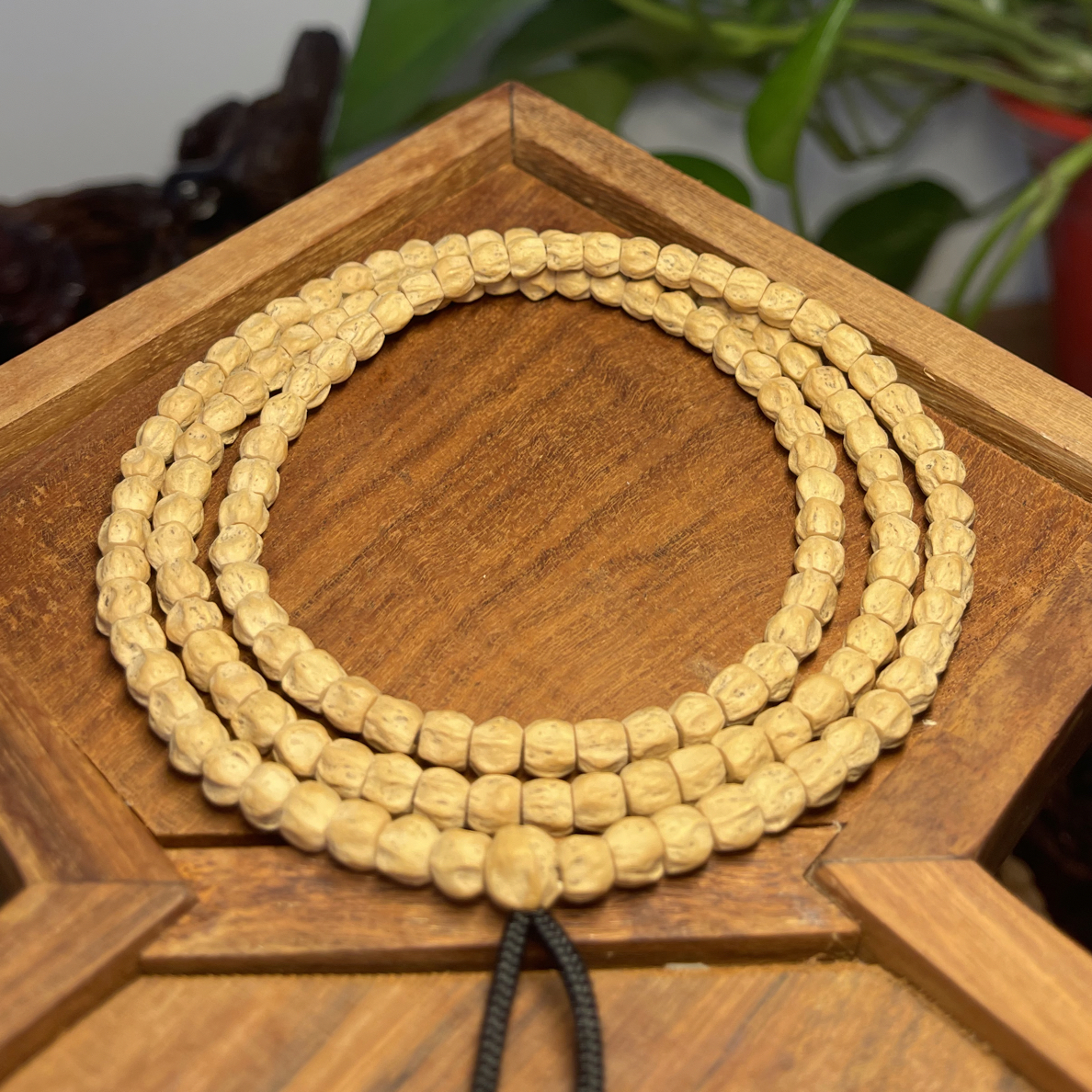 热振柏香籽直切方块奶白油皮108长串