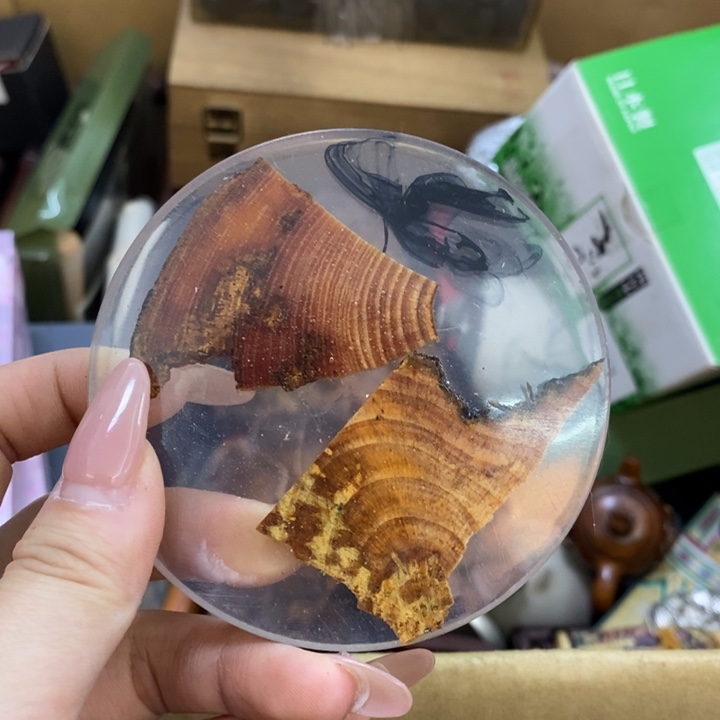 瓷片one哦哦哦哦哦哦哦