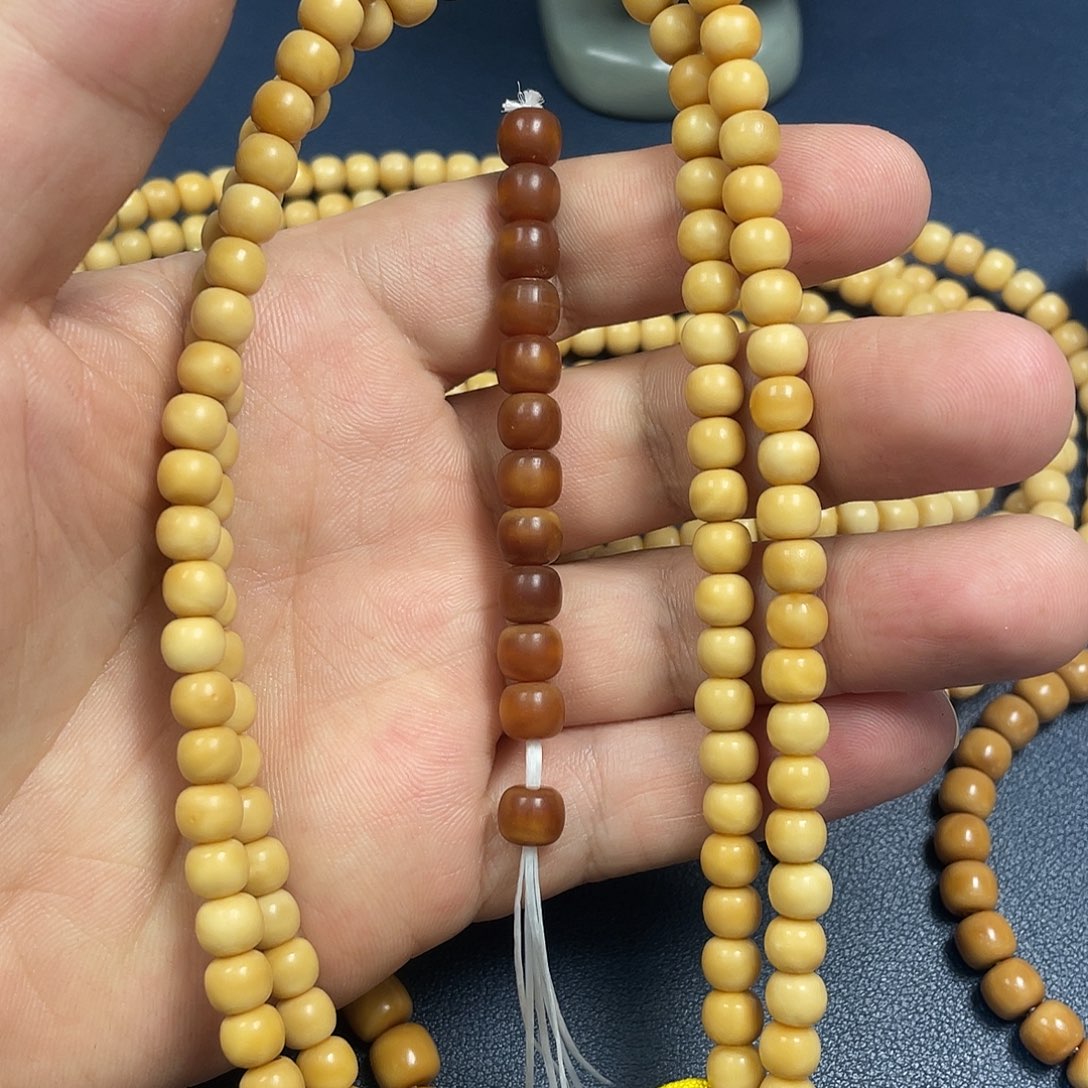 菩提根/象牙果手串✨****?龙脊脖挂