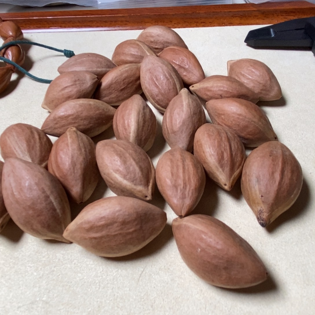 橄榄核其他开播福福橄榄核散籽