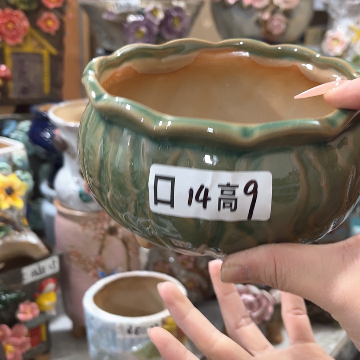 【闪购商品】红陶福利