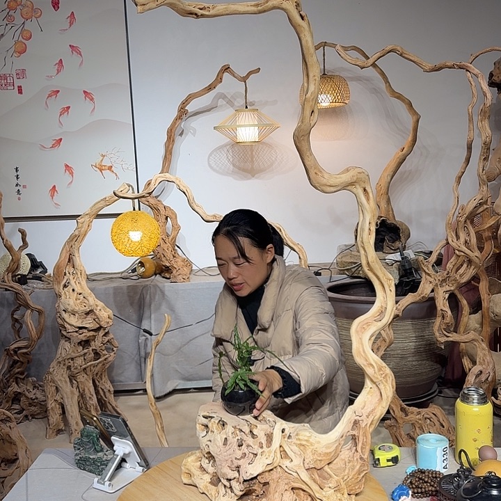 有***西杜鹃根艺术中心根