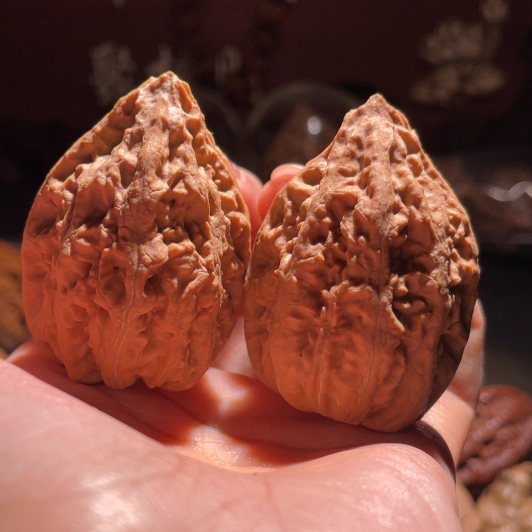 文玩核桃吊坠凹底豆粒塔49