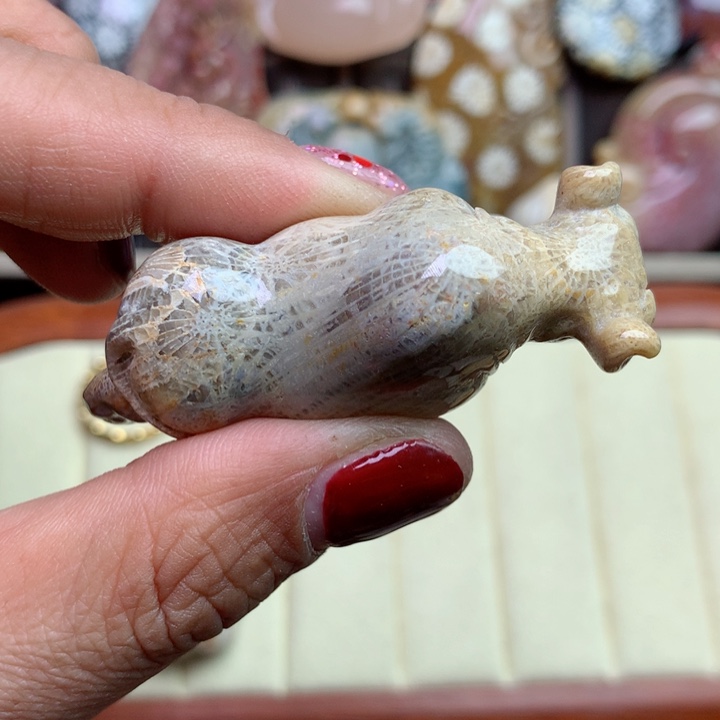 硅化珊瑚（珊瑚玉）颈饰未镶嵌