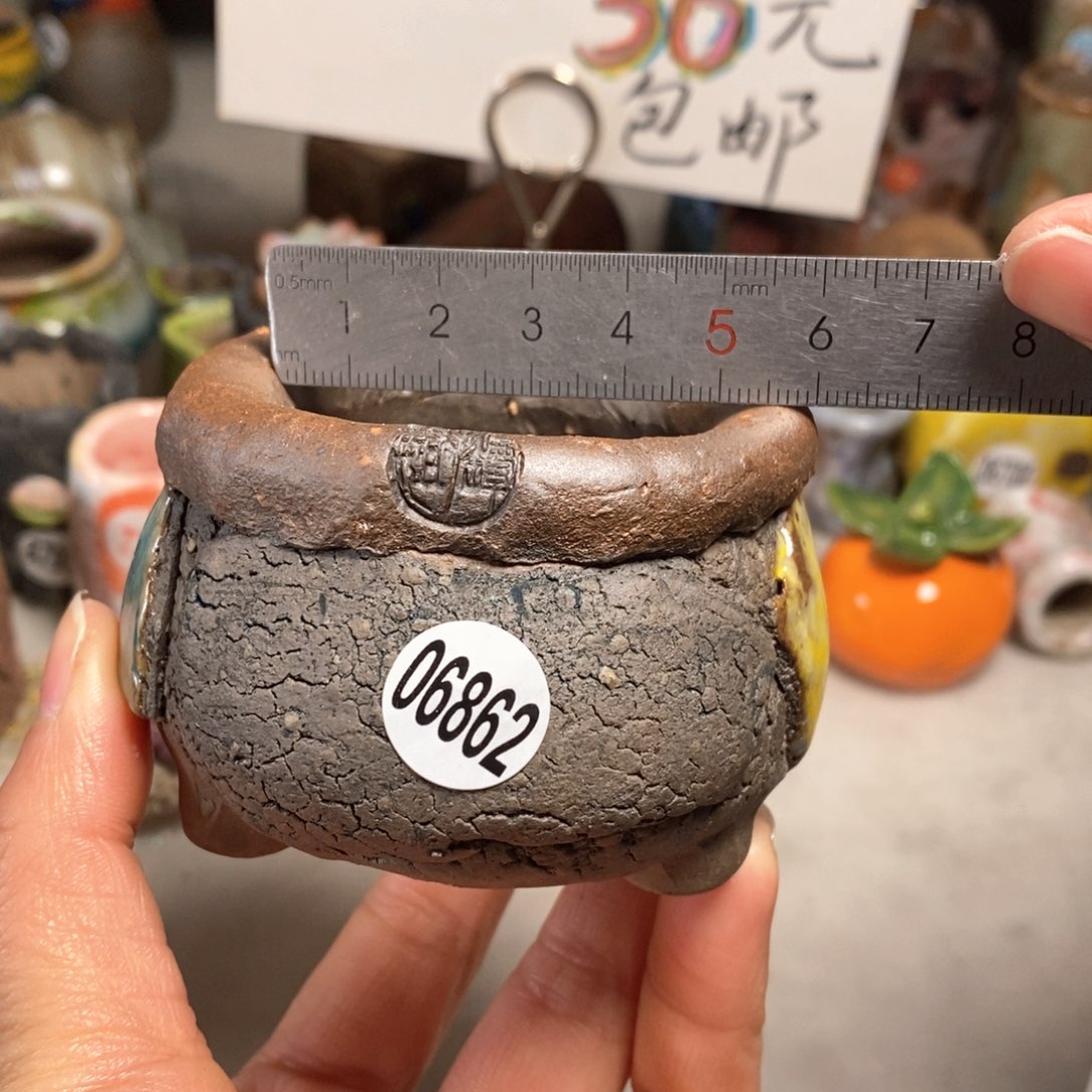 花盆拍3送一个小礼物
