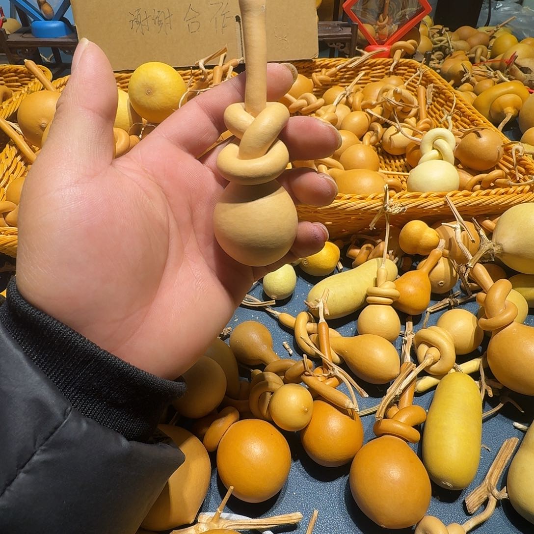 春***牛葫芦科动物大白腿