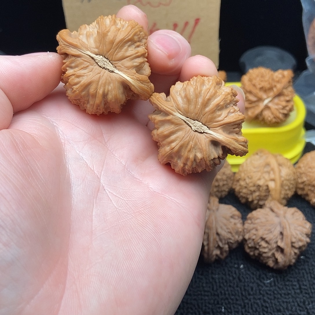 核桃文玩核桃把件白狮子42