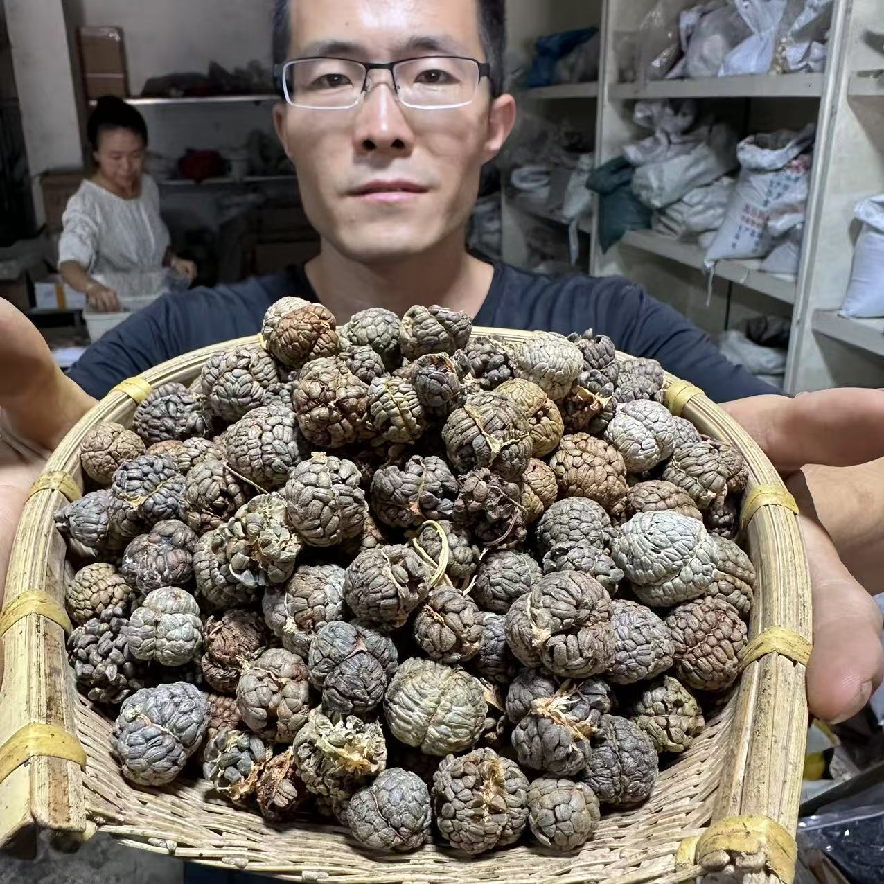 草豆蔻  广西草豆蔻 豆蔻草  种植草豆蔻 无熏硫