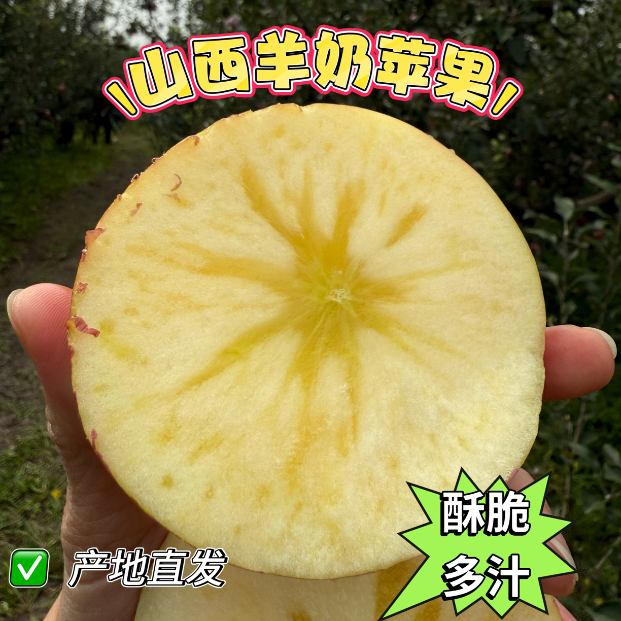 【坏果包赔】山西羊奶冰糖心苹果新鲜现摘脆甜多汁当季鲜果