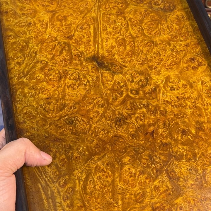 木黄金樟留疤超大托盘