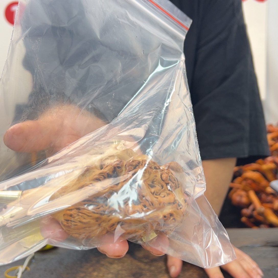 其他黑果木黑果木578