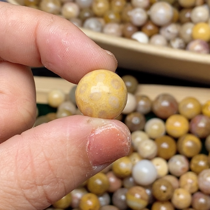 硅化珊瑚（珊瑚玉）手镯未镶嵌