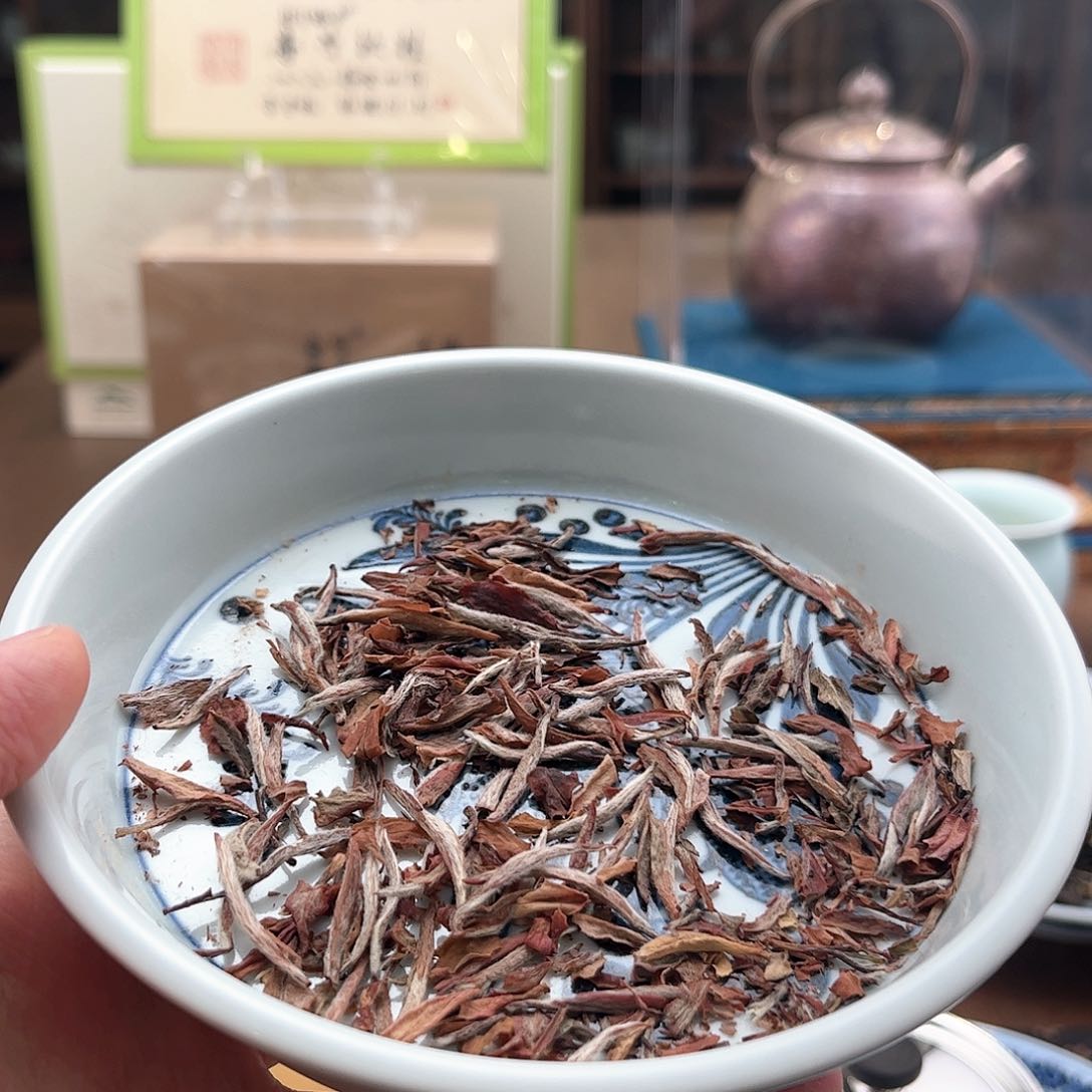 杯稀有品品鉴集合5泡共25g