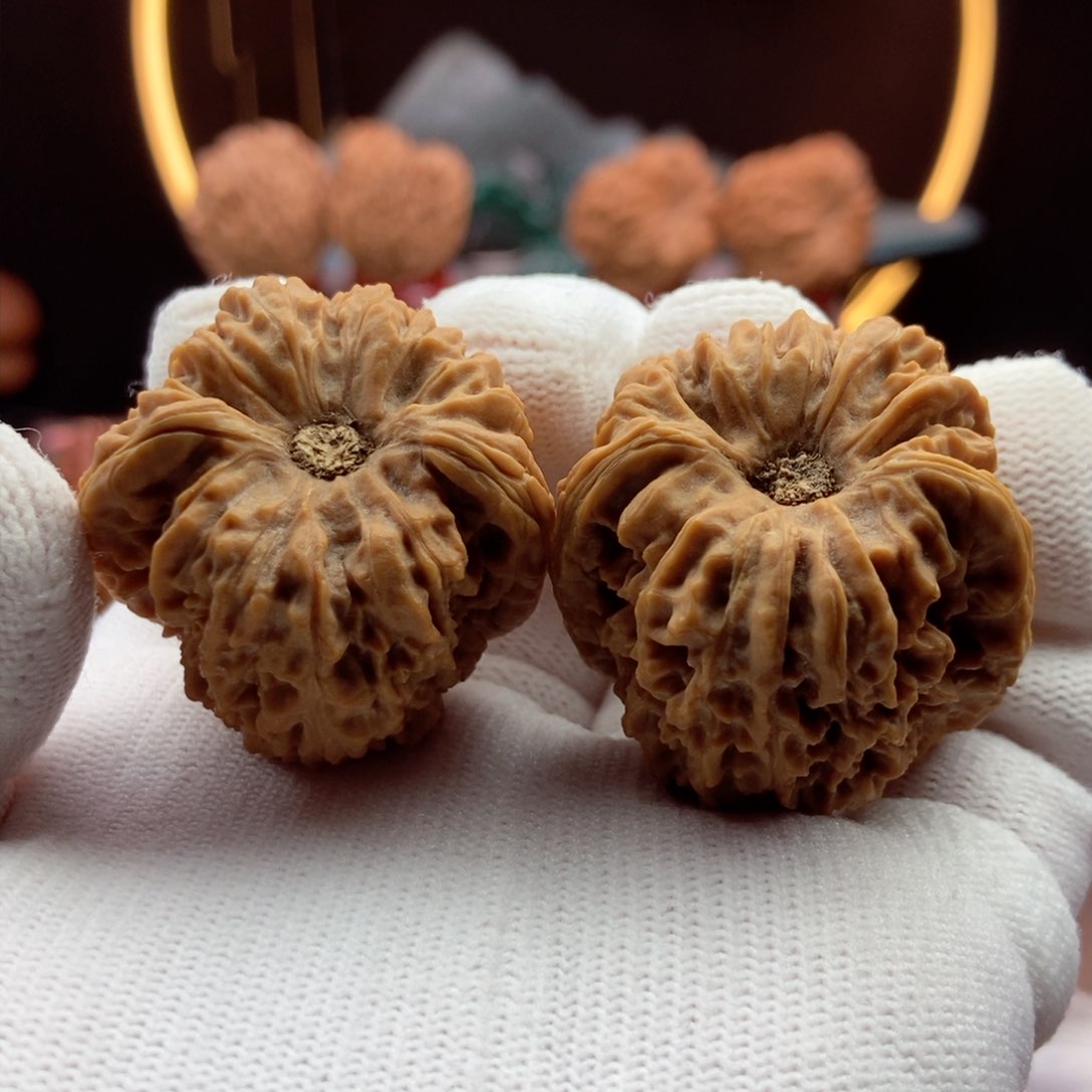 文玩核桃把件子弹头大凹33.5.34.6.37.8.