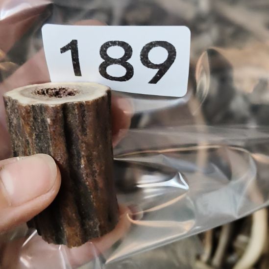 M***C鹿角鹿角鹿角鹿角鹿角鹿角