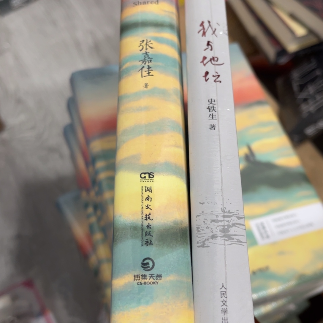 苹***王云边有个小卖部我与地坛