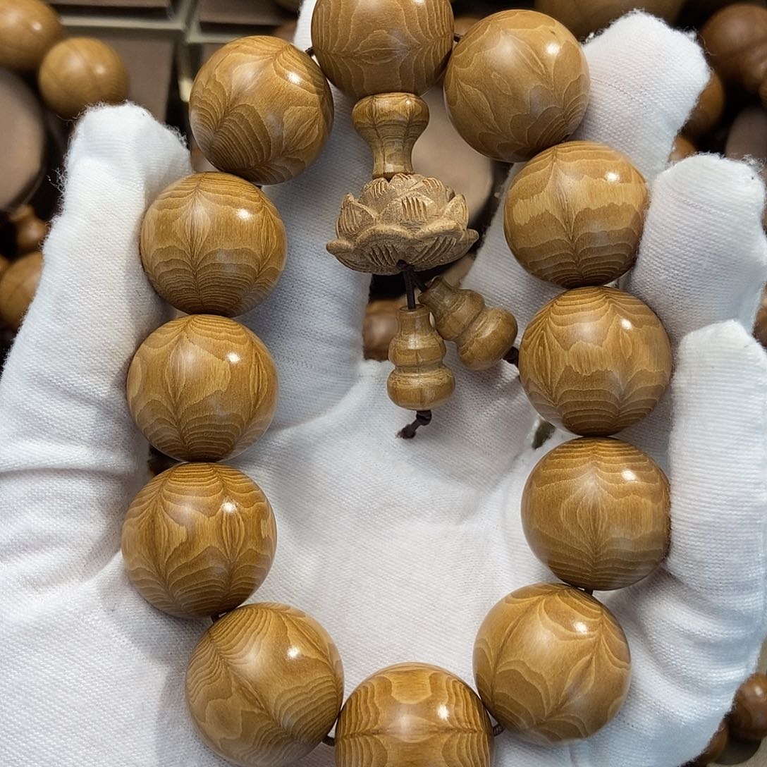 周***杰六道木山西五台山