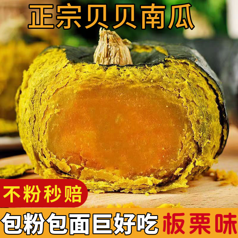 5斤新鲜现摘正宗贝贝南瓜板栗味小南瓜粉糯香甜孕妇宝宝辅食减脂