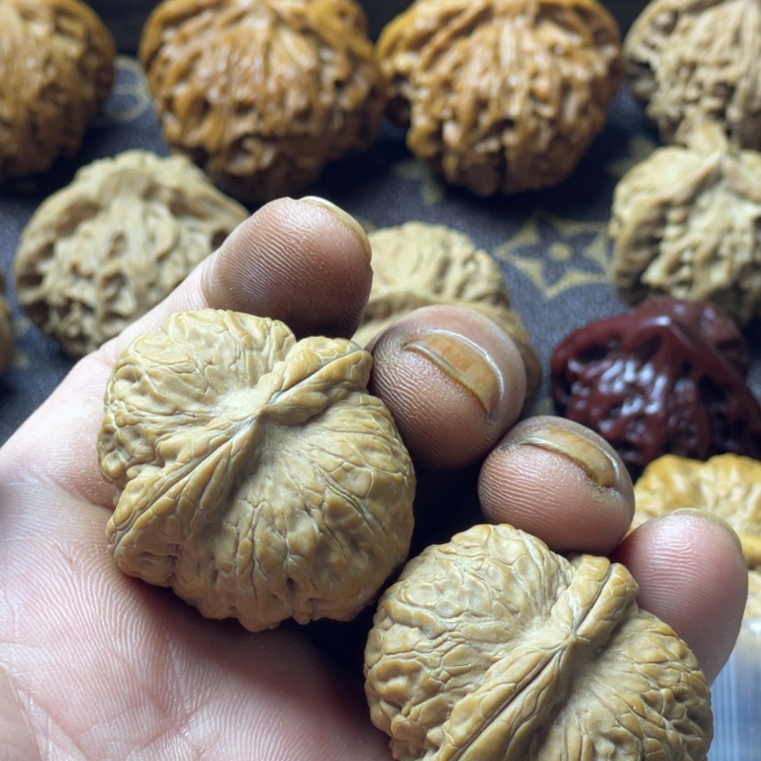 ****️把件核桃元宝38+山地果
