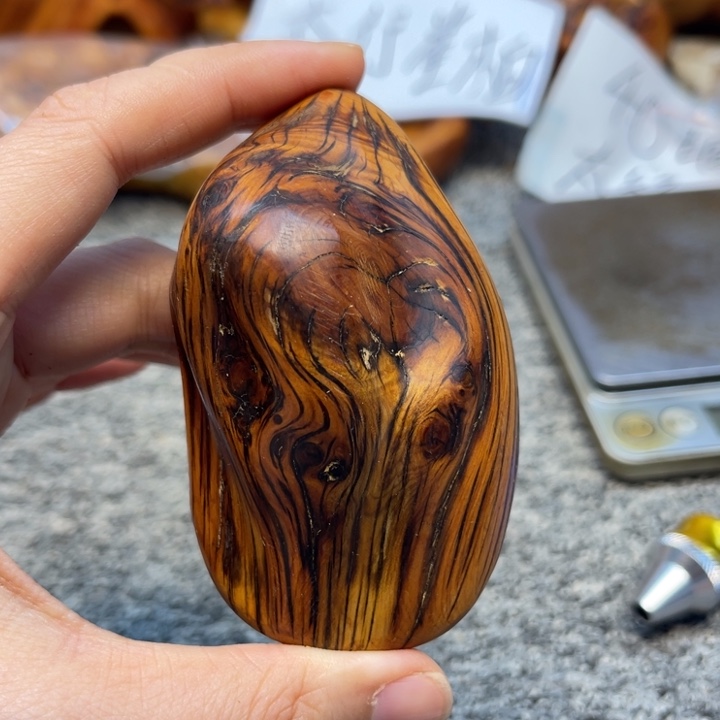 柏木（崖柏）崖柏99