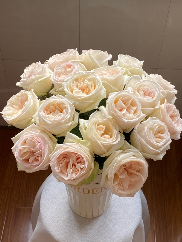 白荔枝香水型奥斯汀玫瑰鲜切花云南品牌基地严选直发顺丰包邮