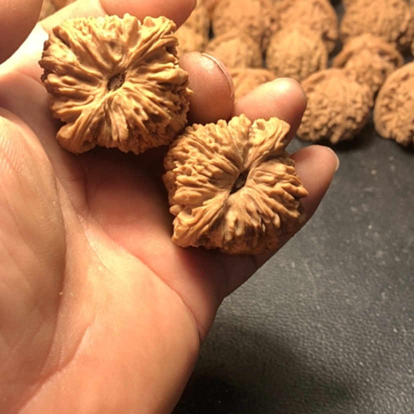 【闪购商品】普*南疆