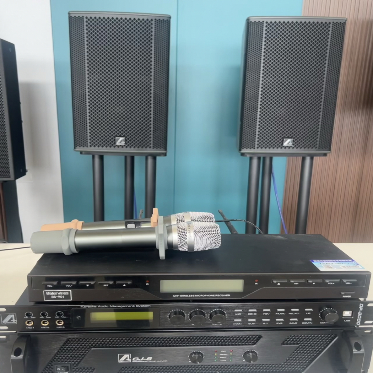 全新爱珈A+十二寸K歌套装效果很棒 