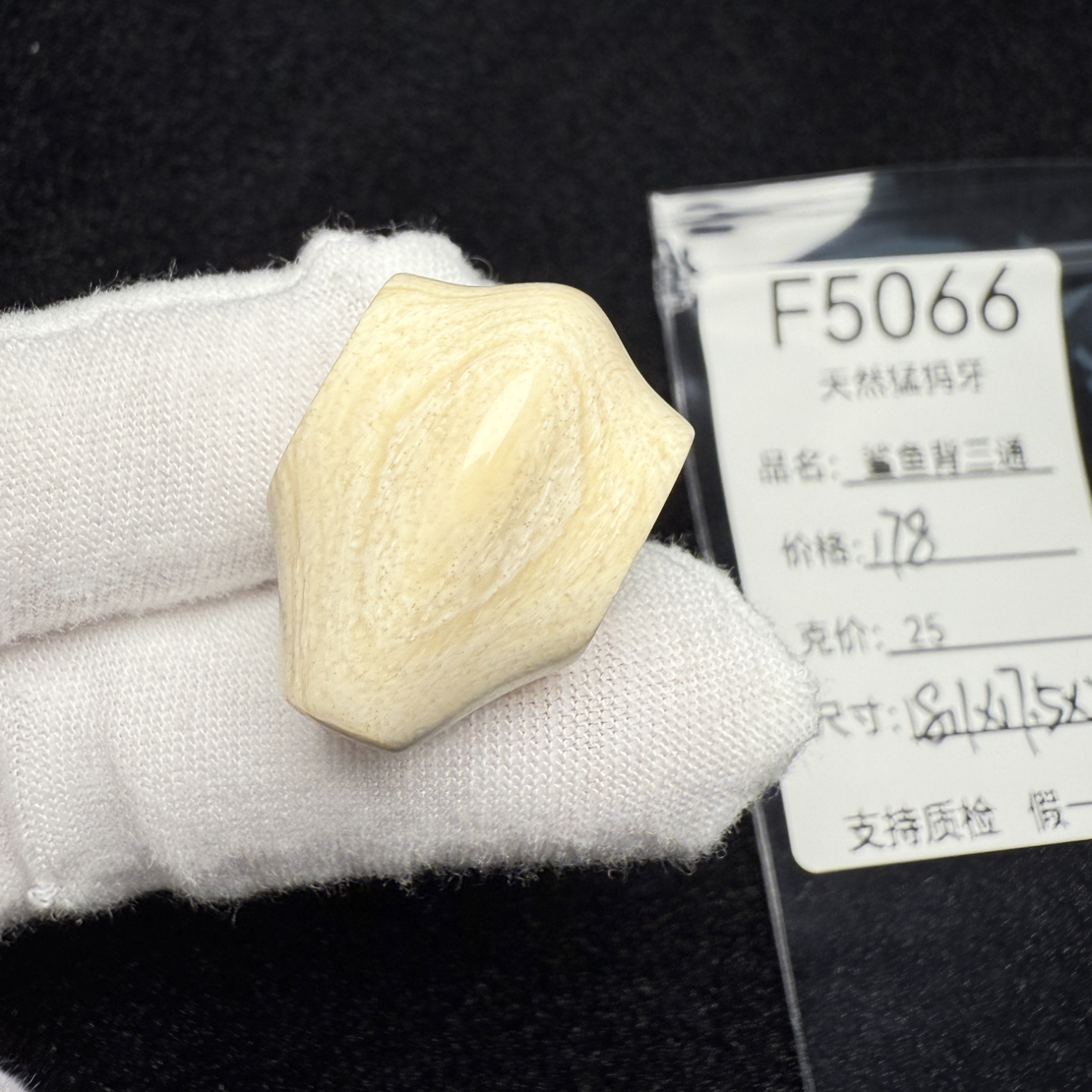 F5066猛犸象牙鲨鱼背一体三通冰料果冻料18.1*17.5*25.5mm