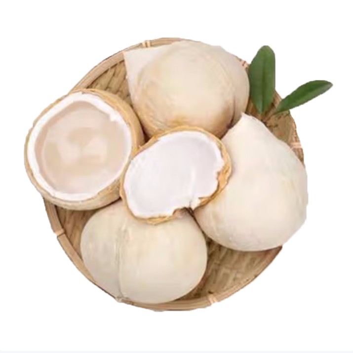 椰子椰皇易开椰(自行开孔带工具)-2个 约2斤