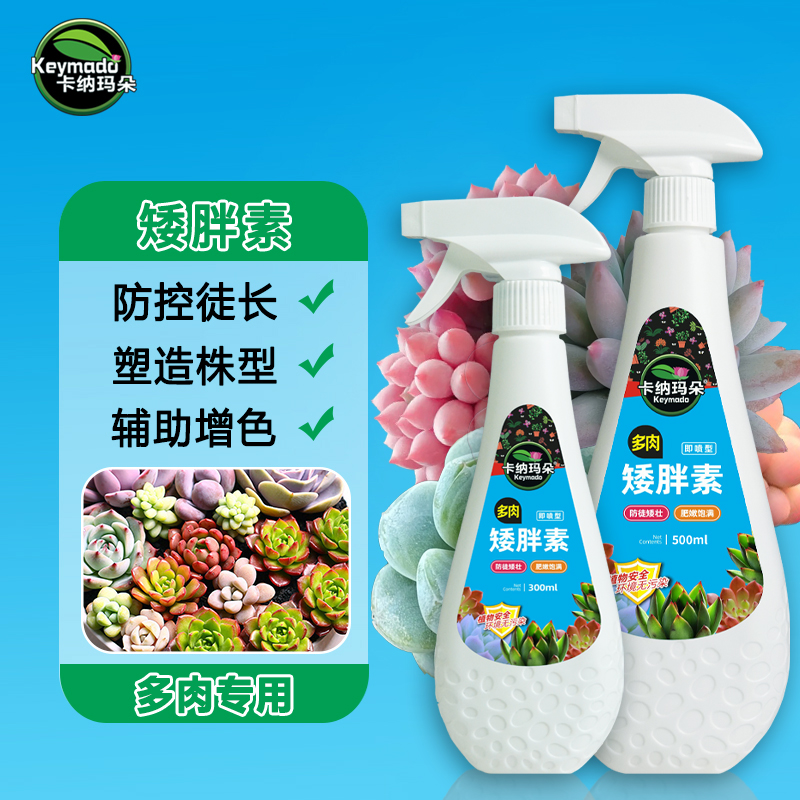 矮胖素多肉太阳花防徒长控型增肥增色植物营养液园艺花肥