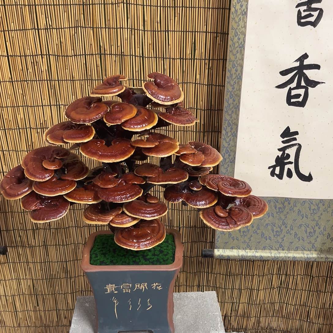 无花朵万事如意88888888888888