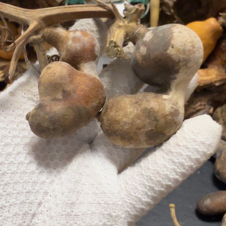 心***安6666666667777778888