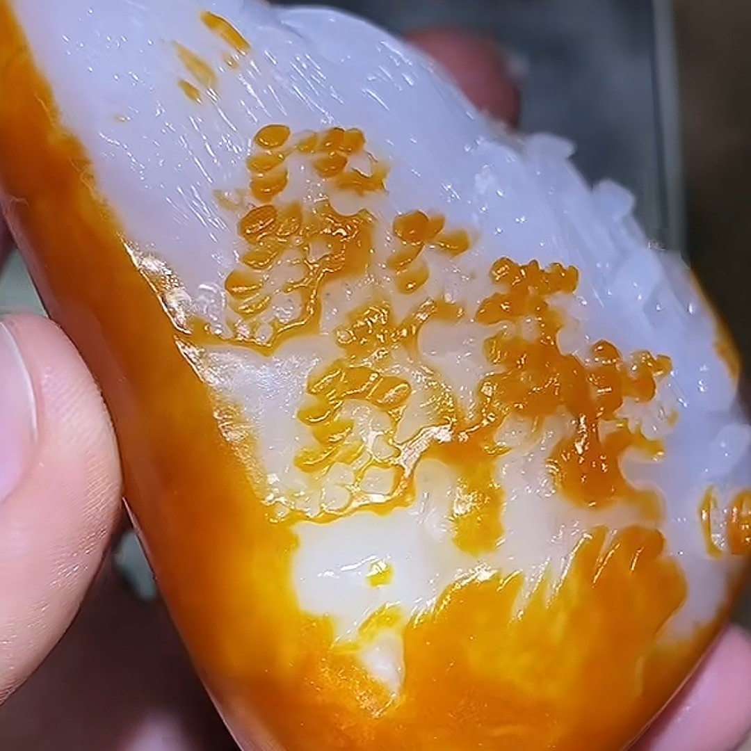 石包多样性拍一发一12月2日 A7