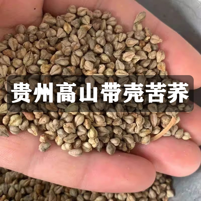 贵州苦荞大凉山苦荞新货原麦带壳苦荞麦生荞叶七野兰荞万年荞菠乌