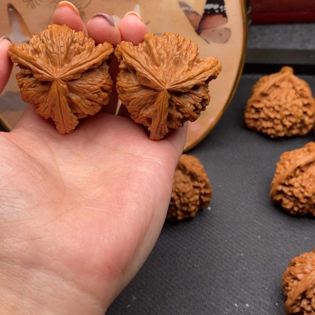 ?****白狮子11111111111