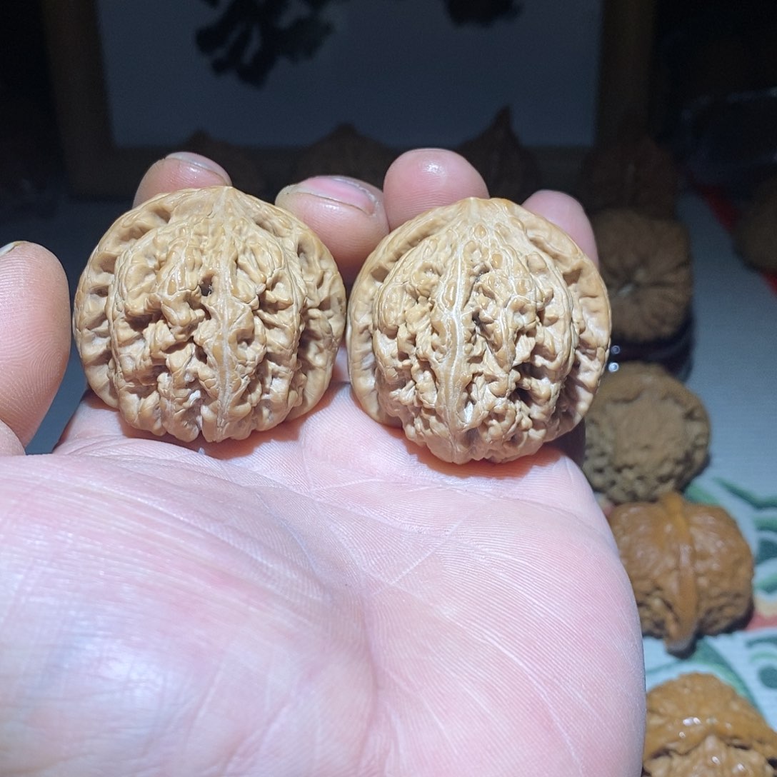 文玩核桃把件42尺平谷大粗筋