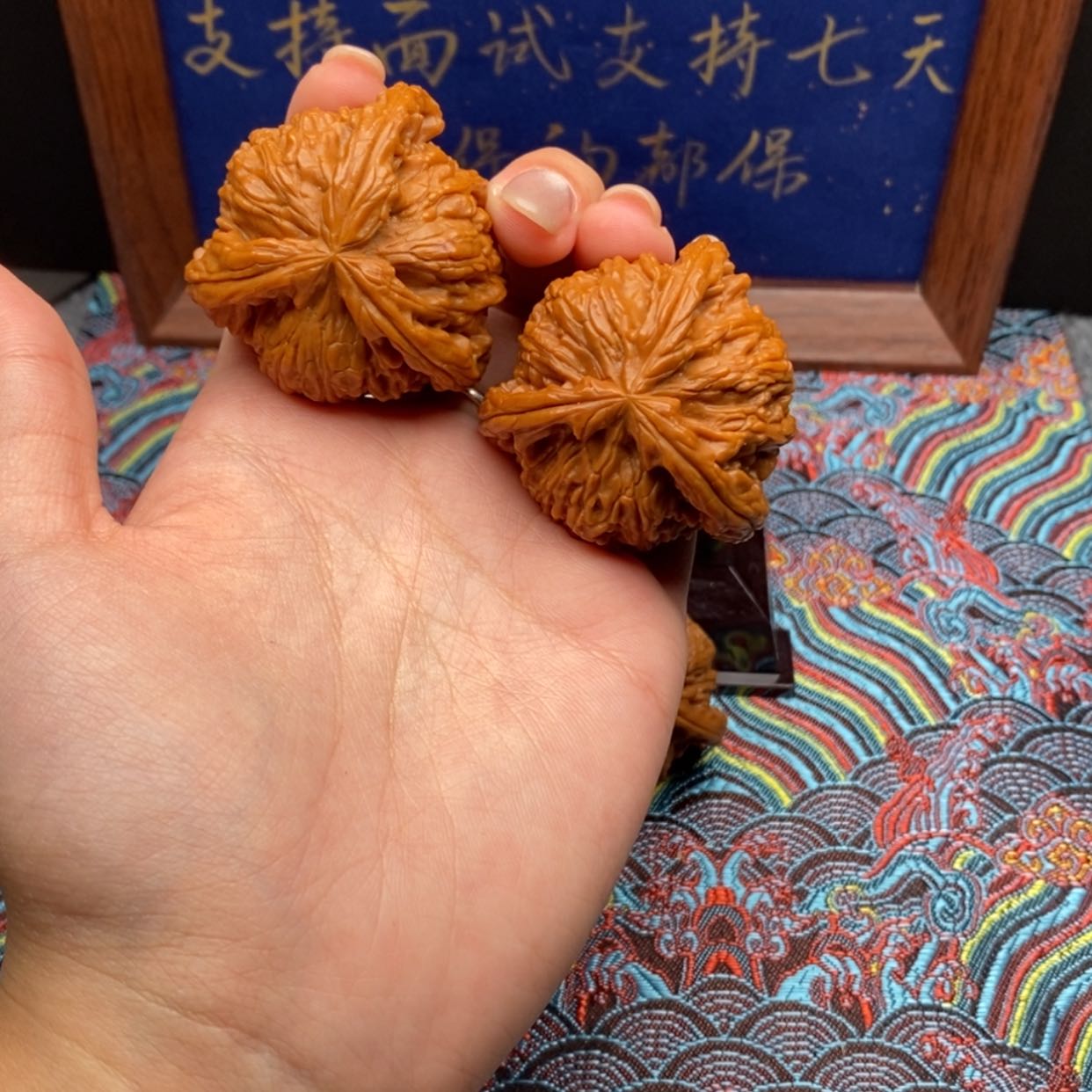 【闪购商品】卢*刚白狮
