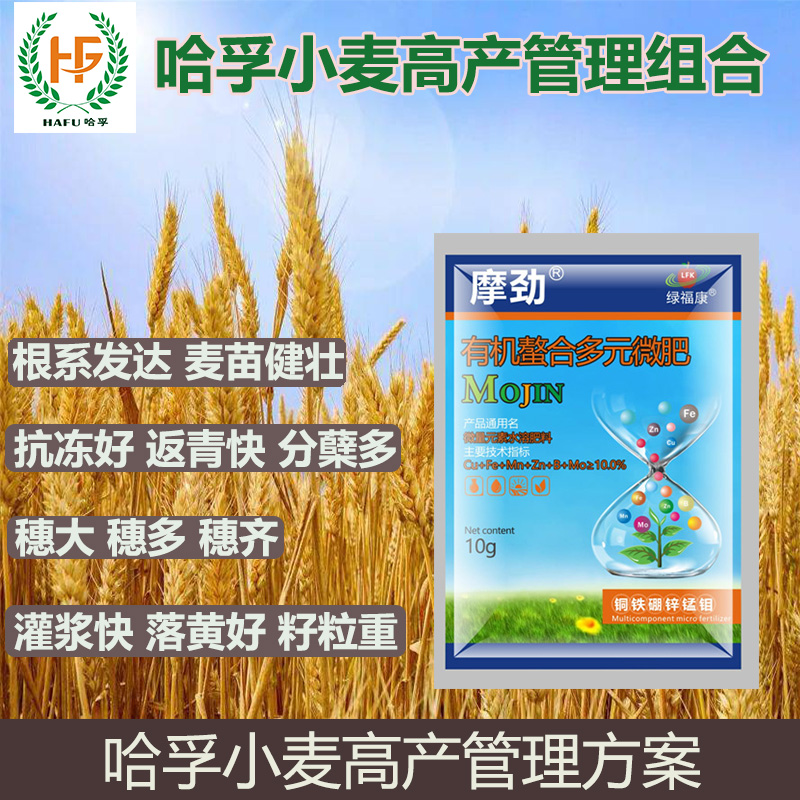 哈孚小麦高产管理组合