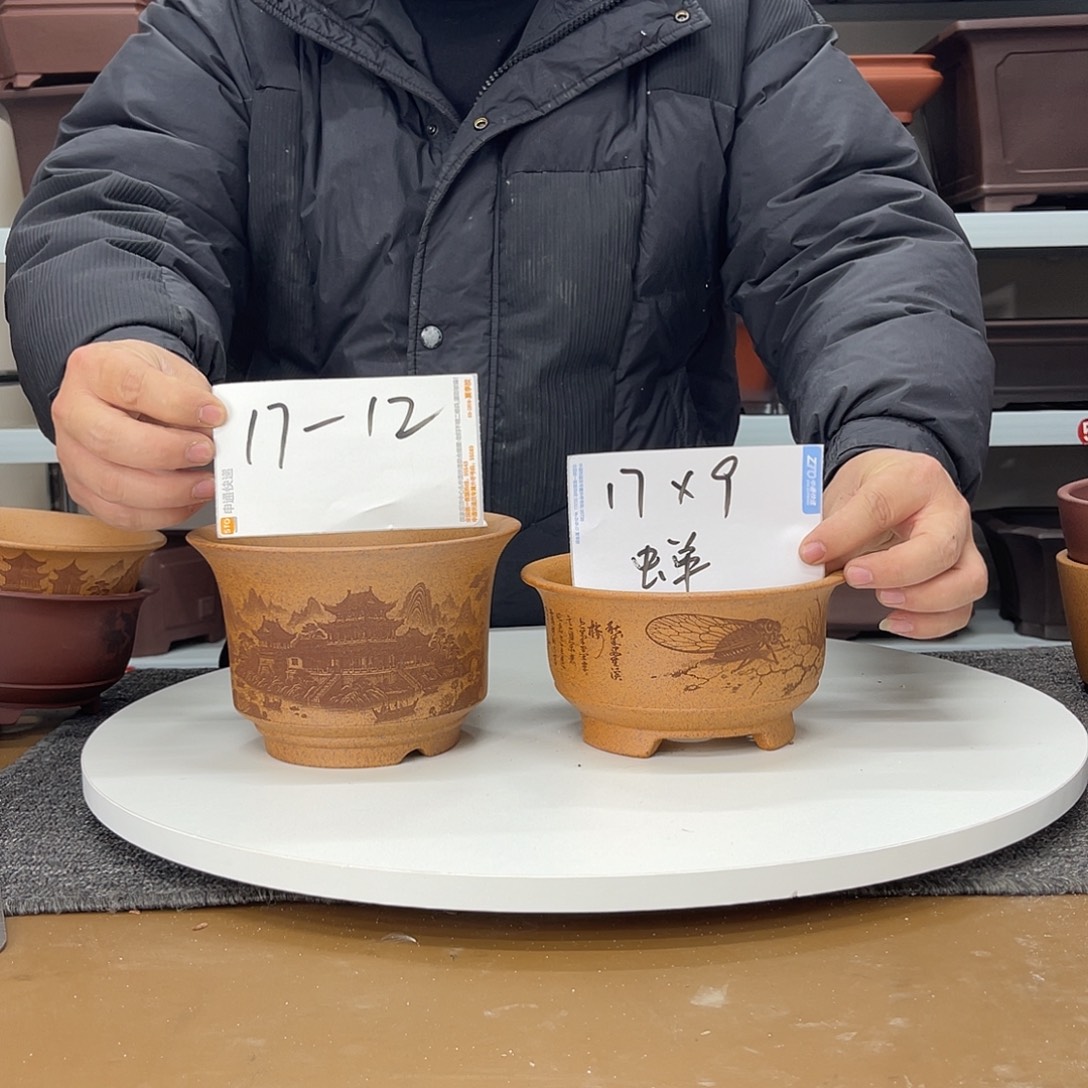 花盆紫砂在上世纪