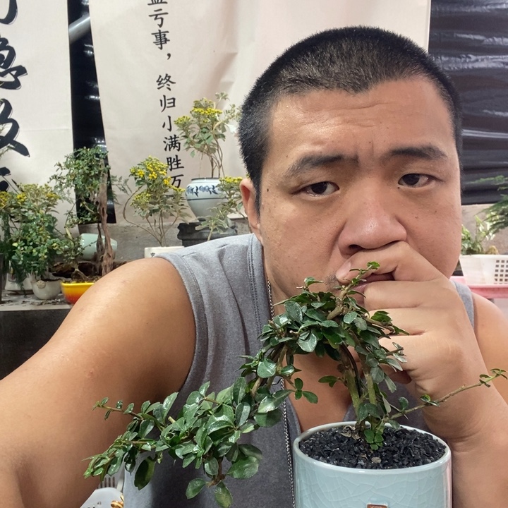 或***.以实际为准文竹月季菖蒲三二