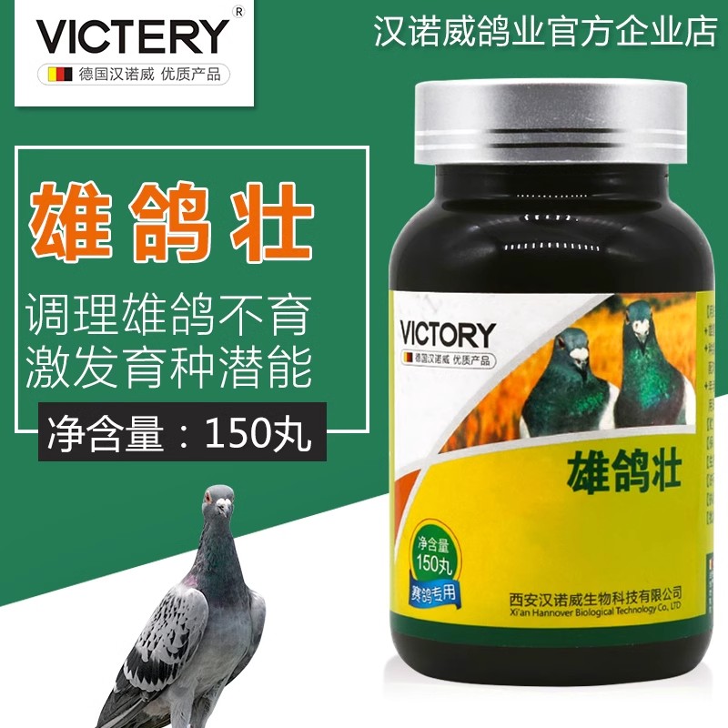 雄鸽宝汉诺威雄鸽壮激发育种潜能信鸽配对鸽子种鸽信赛鸽保健用品