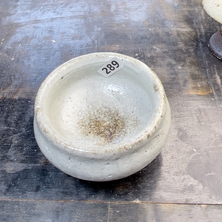 茶宠盏盏灯都是我的爱啊